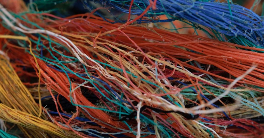 Vibrant frayed fibers create an abstract, textured pattern.