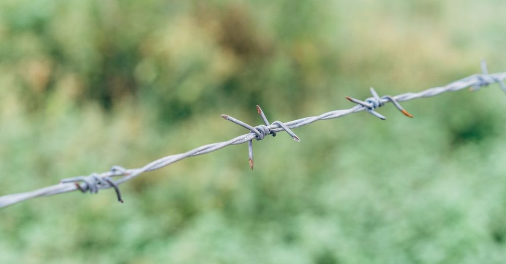 Detailed shot of a rusted barbed wire with blurred green background, emphasizing texture and age.