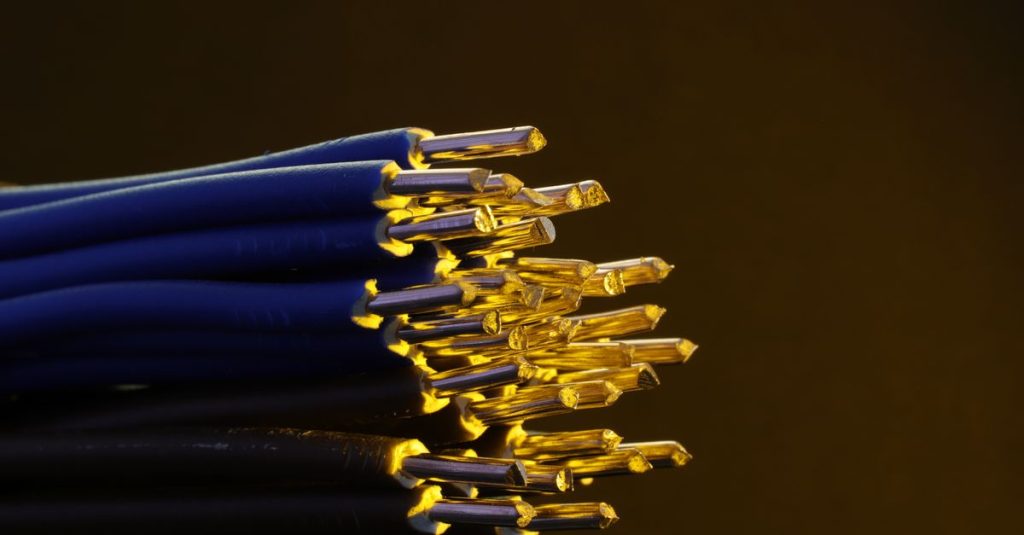 Detailed view of blue ethernet cables with exposed gold-plated conductors.