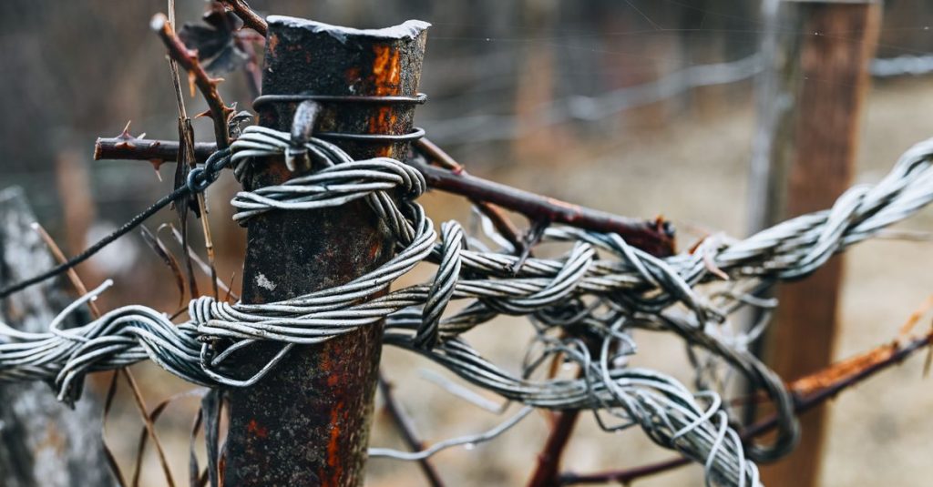 Rusty barbed wire wrapped around a weathered fence post in a rural setting, highlighting textures and decay.