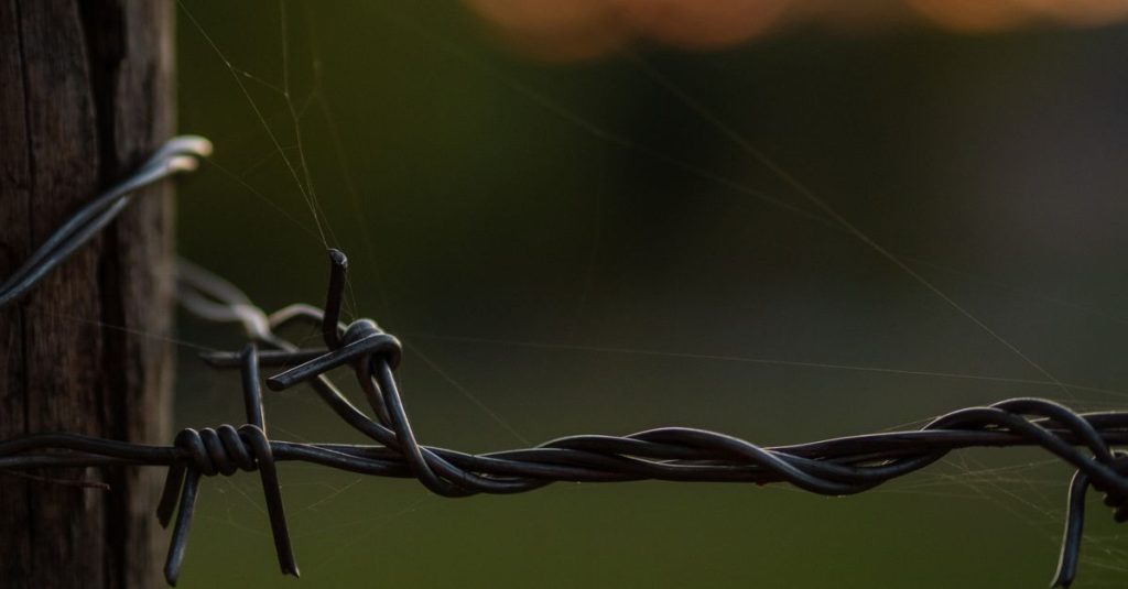 Close-up of barbed wire on wooden post during sunset in Hohenstein, Germany.