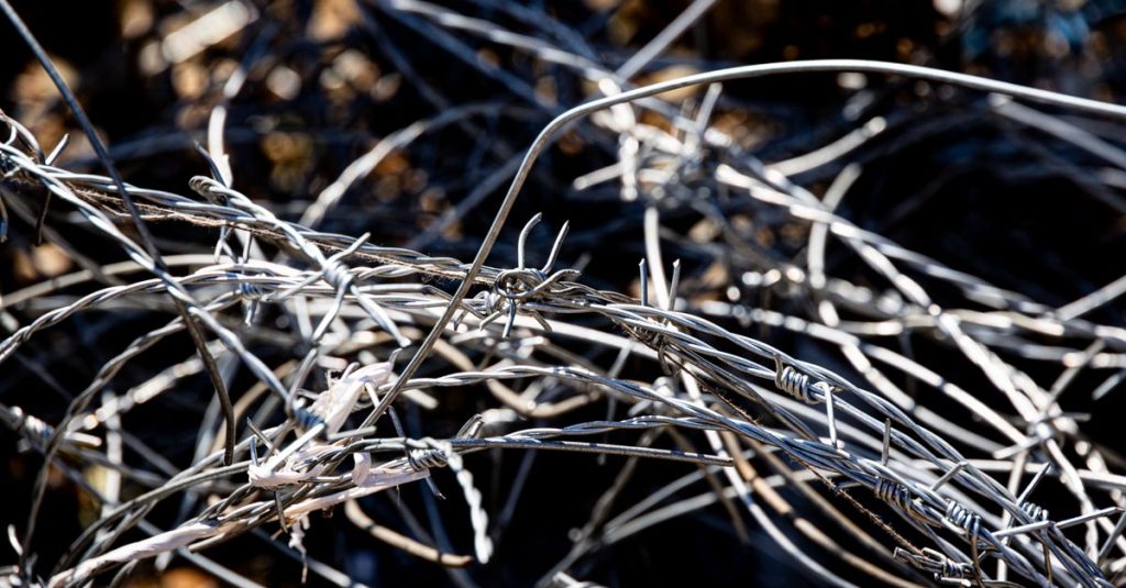 Tangled barbed wire in natural light, creating a complex and textured pattern.