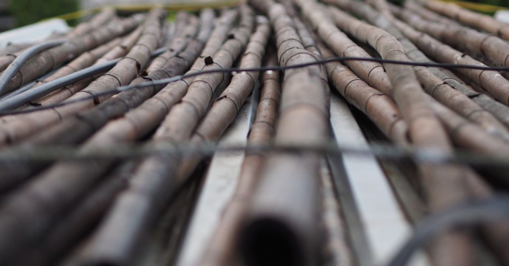 High angle cut dried bamboo tree stalks placed in pickup trunk during harvesting season in daytime