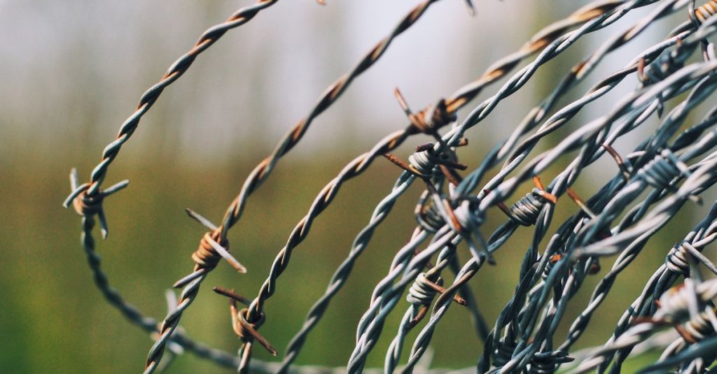 Detailed close-up of a rusty barbed wire fence with a soft focus background.