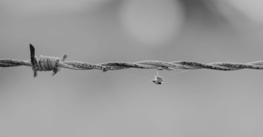 Close-up of barbed wire with dew drop in grayscale, highlighting texture and contrast.