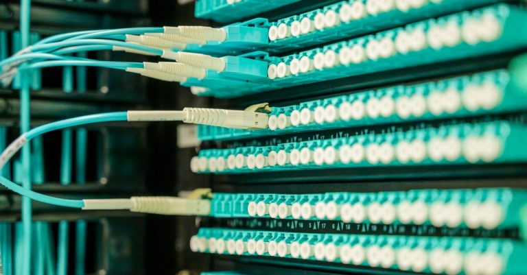 Networking cables plugged into a patch panel, showcasing data center connectivity.