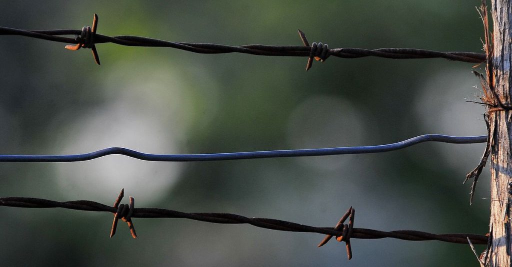 Detailed close-up of a barbed wire fence against a soft, blurred natural backdrop.