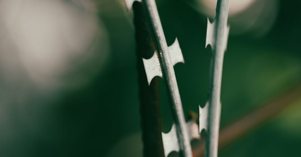 A detailed view of barbed wire in focus against a soft, green blurred background.